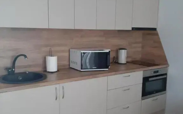Vėžių g 26 K5-11 buto nuoma
