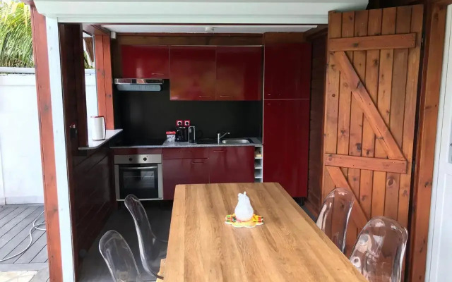 Iguane Rouge