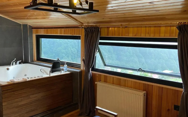 Ayder Villa de Pelit Hotel