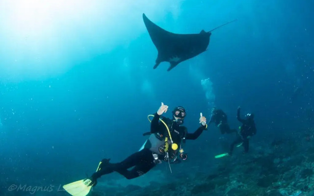 Bali Dive Resort Amed