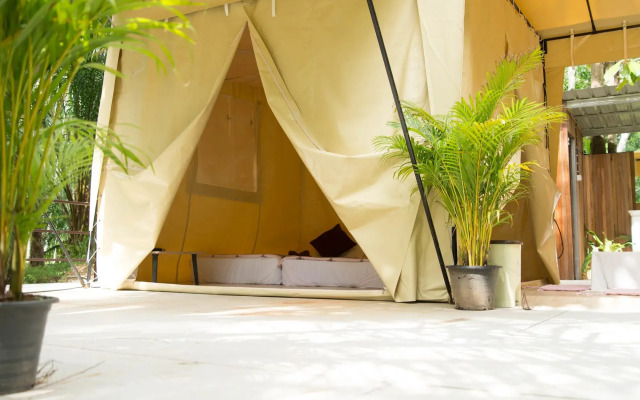 Tonphet Greenery Garden