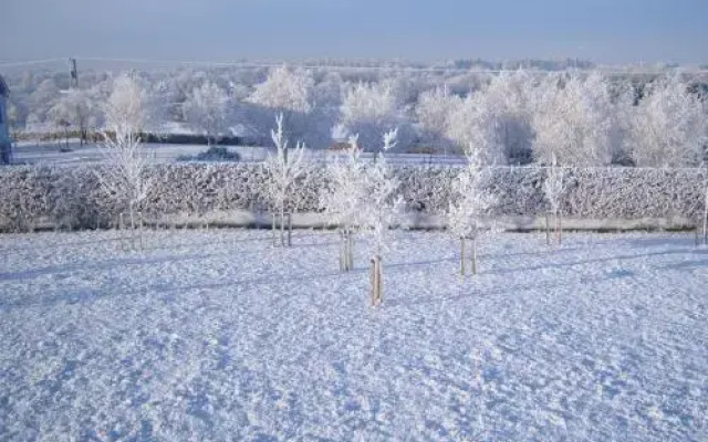 Ashford Haven B&B