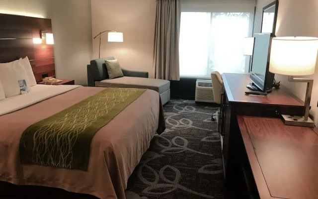 Comfort Inn and Suites Anaheim