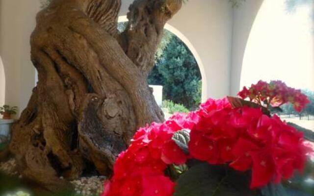 L'Ulivo Bed and Breakfast