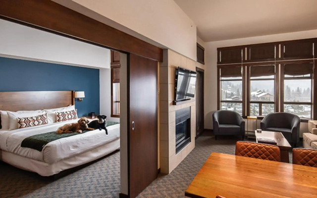 Evolution Whistler
