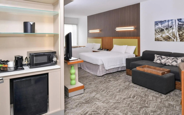 SpringHill Suites by Marriott Ashburn Dulles North