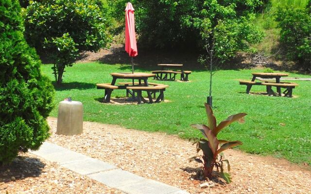 Comfort Inn Jonesville