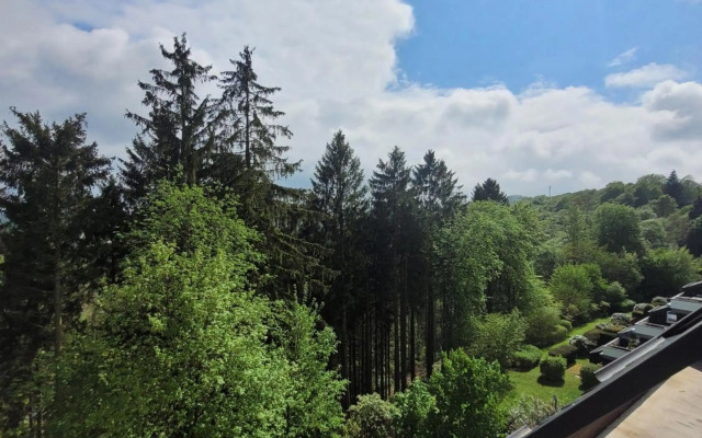 Apartment in Winterberg With Pool & Sauna