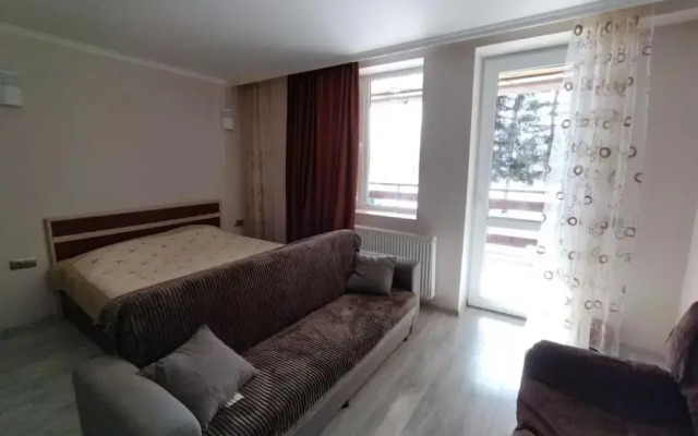 Bakuriani City Apartment 8