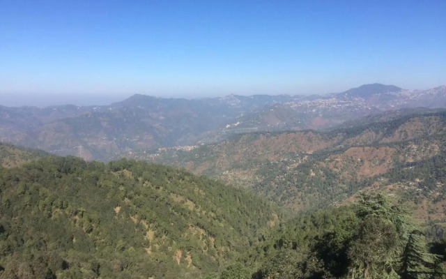 TreeHouse Chail Villas