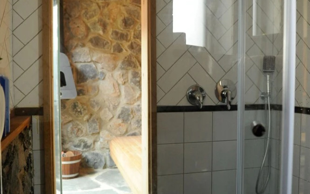 Tzahi Sandrossi Tzzimer