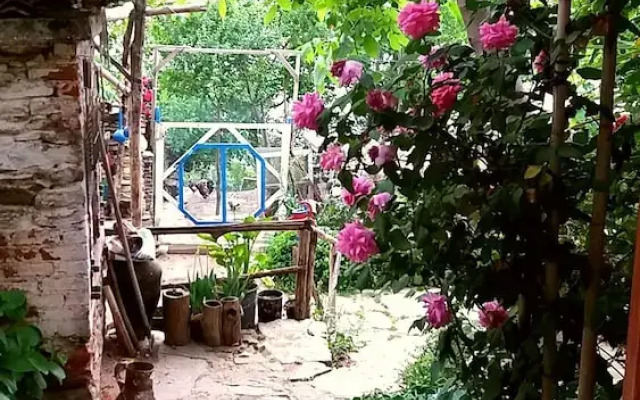 Kaplan Butik Pansiyon