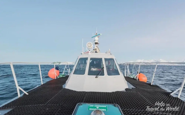 Aurora Glamping By The Whales