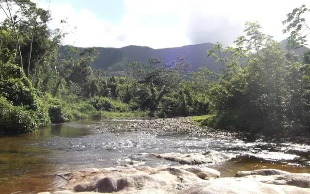 Hummingbird Guest Lodge & Hostel