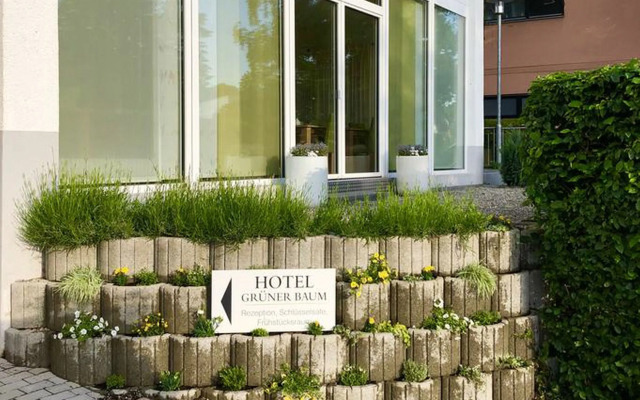 Grüner Baum Merzhausen