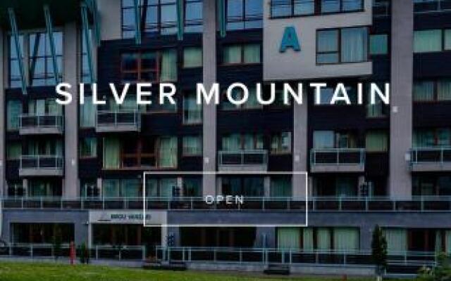 Silver Mountain A43