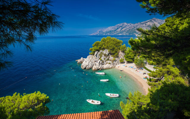 Bluesun Mala Berulia