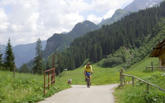 Haus Steiner Modern Retreat