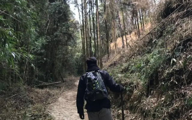 Taj Guras Kutir Resort & Spa, Gangtok