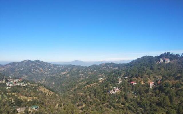 Orchid kasauli