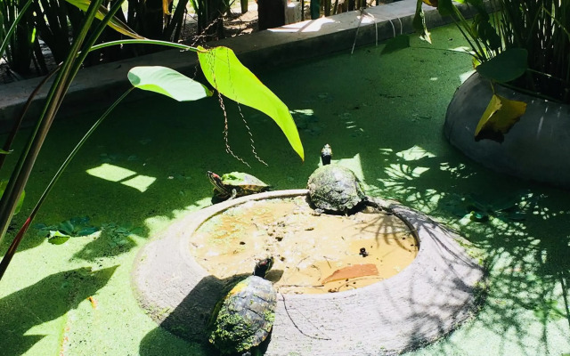 Sahaa Beach Resort