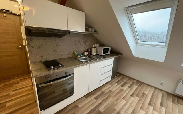 Apartmány Skryjova