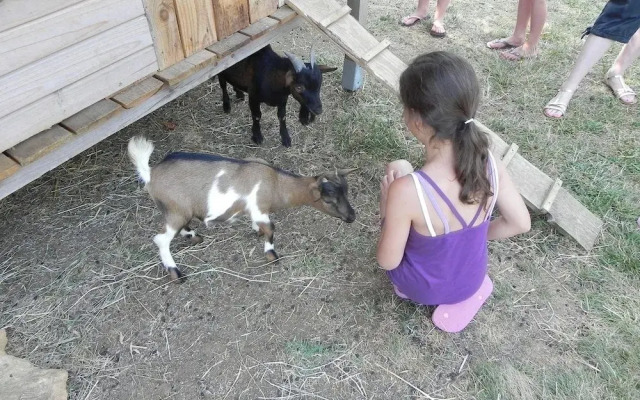 Eco Cottage L'Offrerie