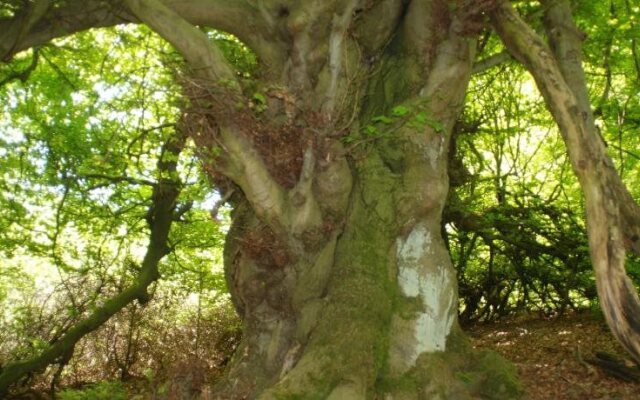 Ferienwohnung Pferdezentrum Edersee