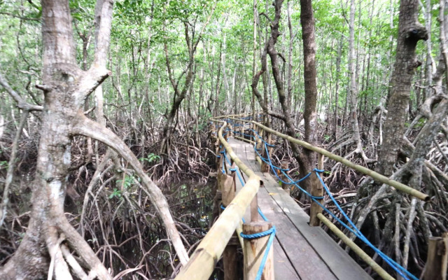 Villa Israel Eco Park El nido Palawan