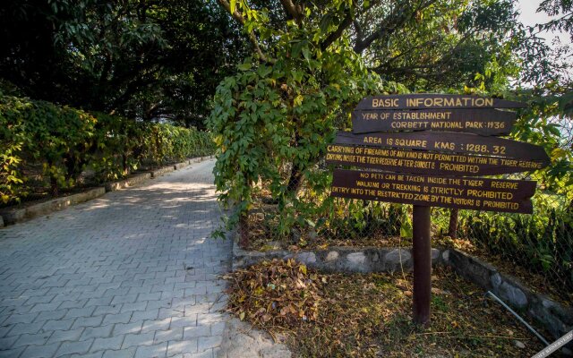 Ashoka Tiger Trail