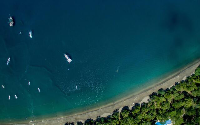 Papagayo Golden Palms Beachfront Hotel