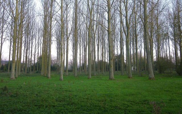 Chambres d'Hotes - La Ferme De Tigny