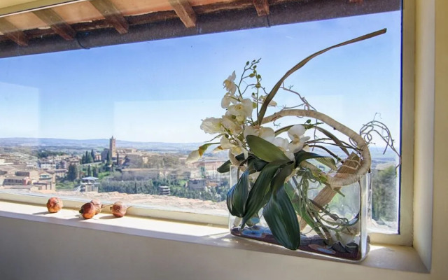 Rinidia Siena Centro