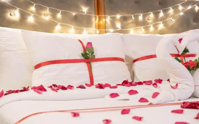 viola hotel Jazan