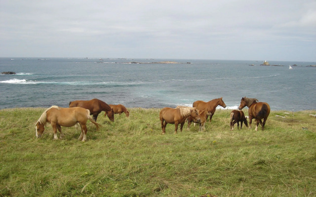 Semi-detached House With sea Views, Porspoder