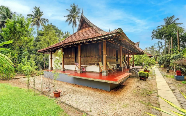 Alaya Stays Palm Dale by the Backwaters