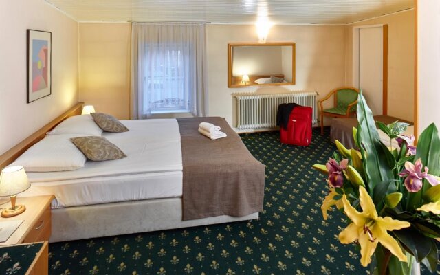Hotel Mrak 4*