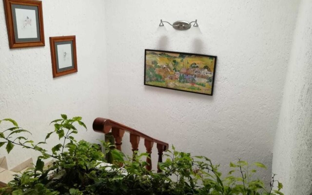 Casa Blue