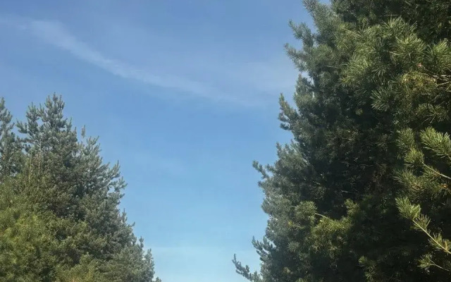 Shukolovo