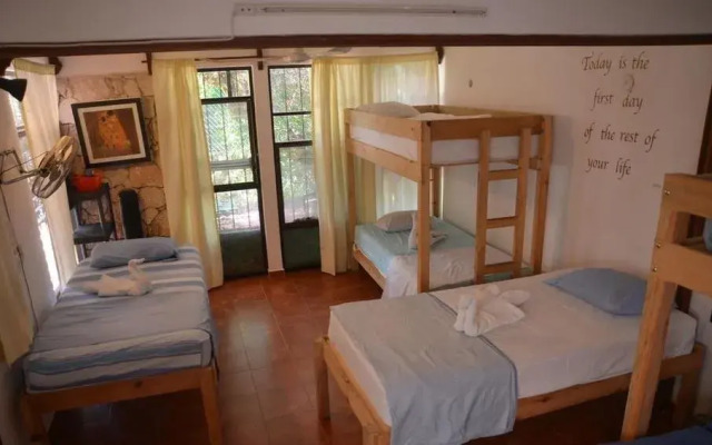Bed & Breakfast Garden