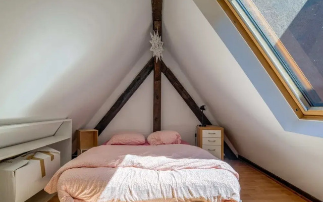 Charming Triplex for 6 - Strasbourg