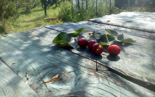 B&B Wellness Il Pomario di Montepiglio