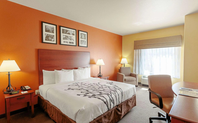 Sleep Inn & Suites Tyler South