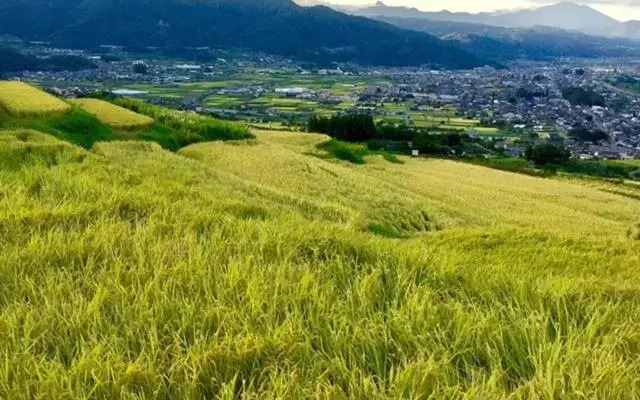 Obasute Guesthouse Nakaraya