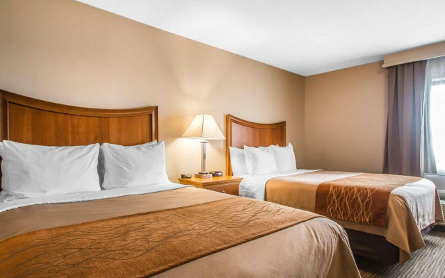 Comfort Inn South - Springfield