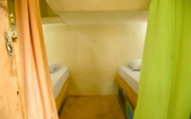 The Rabbit Tree - Hostel