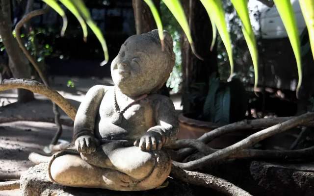 Province de Surat Thani