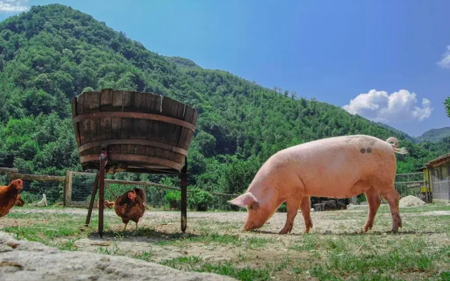 Agriturismo La Ferrera