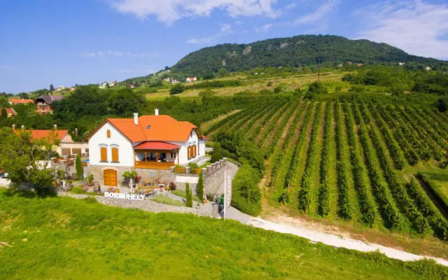 Badacsony Villa Ria