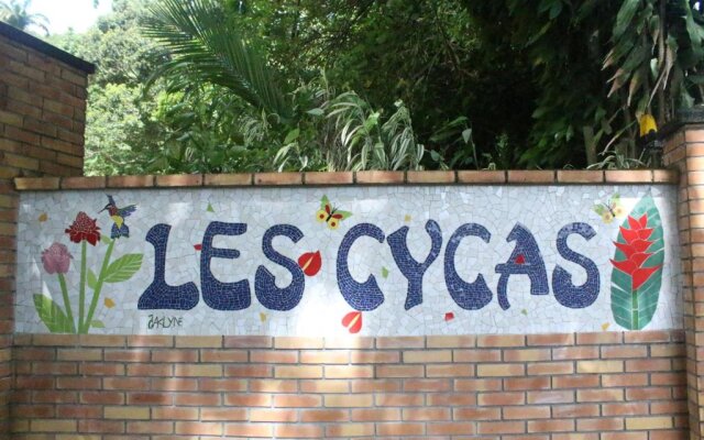 Les Cycas